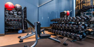 Alexan Main Street Gallery 56