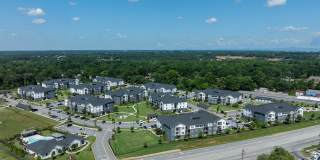 The Aster Gallery 40