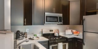 The Morgan Gallery 1