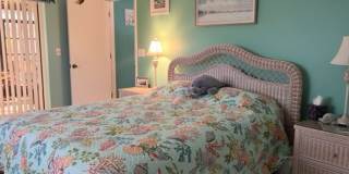 Bring your dog!  2 bedroom, 2 bath, Single family home in South Venice Gallery 25