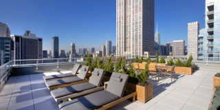 The Dylan The Dylan Gallery 50