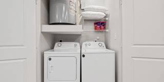 Water Oak Gallery 16