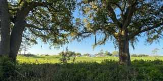 2487 ST. AUGUSTINE BOULEVARD Gallery 20