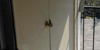 Forest Ridge Gallery 123