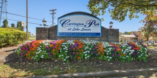 Carrington Park at Lake Lanier Gallery 16