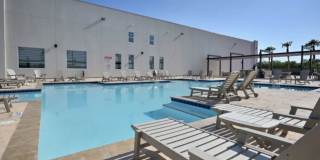 The Tree Apartments Gallery 30