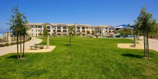 Torrey Gardens Gallery 22