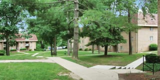 Crystal Springs Gallery 32