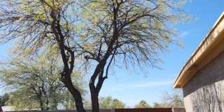 Charming East Tucson 3BR/2BA Rental Home with Covered Patio & Carpet-Free Interior (85748) Gallery 10