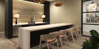 Alexan Chelmsford Gallery 18