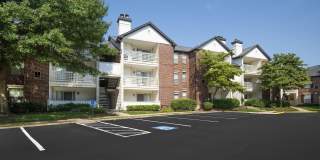 Avana Bellemeade Gallery 41