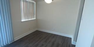 Northgate Gallery 99