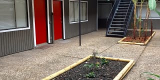 502 W Alabama Gallery 3