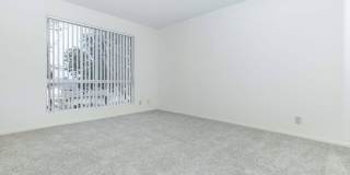 Emerald West Apartments Gallery 23
