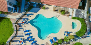 Serafina at South Mountain Gallery 5