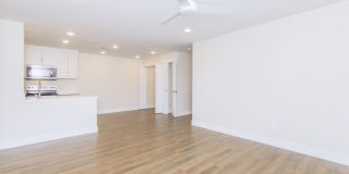 Orchard Park Gallery 11