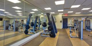 Solace Apartments Gallery 18