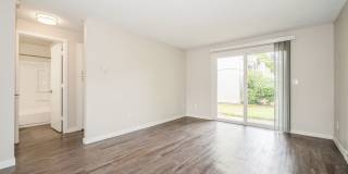 ReNew Dash Point Gallery 38