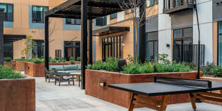 The Frank Gallery 17