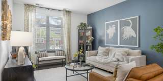 Deco Gallery 3