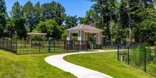 Summer Lake Gallery 17