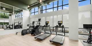 Alexan MOTO Gallery 21