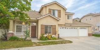 25535 Chisom Gallery 1