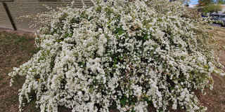 Lakewood Best Ever 3/2 Duplex All New Inside w/ Fenced Yard Gallery 67