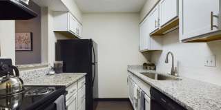 Emerson Village Gallery 38