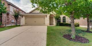 3012 Dusty Chisolm Trl Pflugerville, TX 78660 Gallery 3