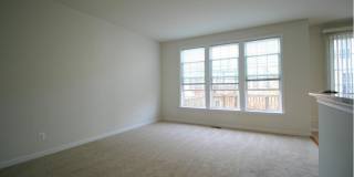 8250 RED CARNATION Court Gallery 17