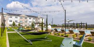 Allora New Forest Gallery 20