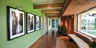 True Gem Located in Fireside at Desert Ridge!!!  Fully Furnished, close to Mayo North campus!!!  Community Pool, Fitness, Club House of Desert Ridge!!!  Upgraded, large lot, Ready for you!!! Gallery 88