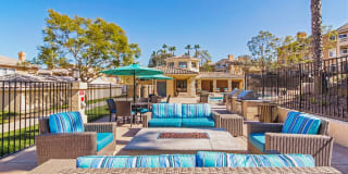 Sofi Canyon Hills Gallery 25