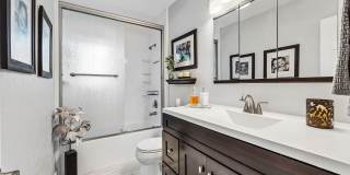 517 IBIS Drive Gallery 11
