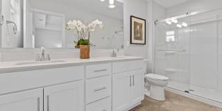 The Grand Meadows Gallery 10