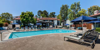 Pointe Niguel Gallery 19