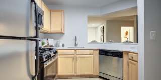 J Harbor Park at North Point Gallery 2