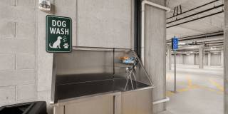 Cedar Green Gallery 11