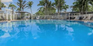 Fountain Lake Bradenton Gallery 14