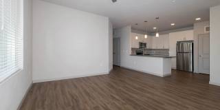 Savanna Nine Mile Gallery 61