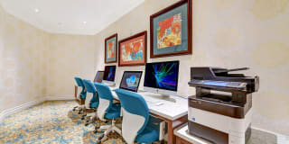Avino Gallery 13
