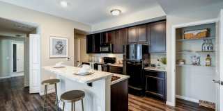 Walden Lakes Gallery 1