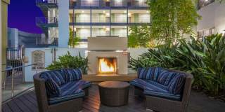 Sunset and Vine Sunset and Vine Gallery 18