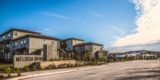 Melissa Ranch Gallery 33