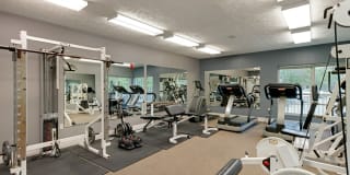 Torrey Pines Gallery 19