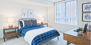 Thomas Court Gallery 4