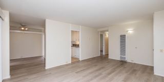 115 Moss Avenue Gallery 19