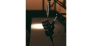 Cavalier at the Crosswalks Gallery 13