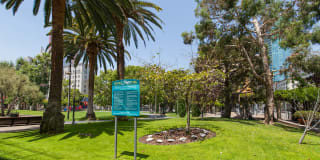 Renaissance Tower Gallery 45